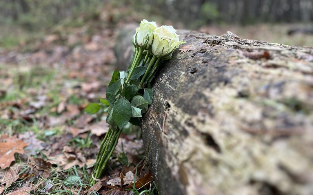 Rouw in beeld