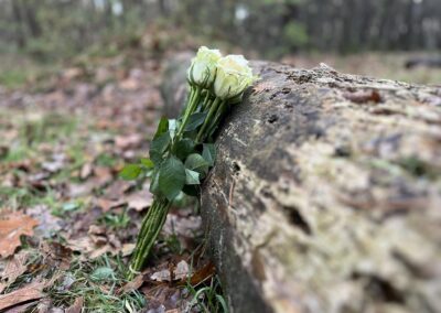 Rouw in beeld