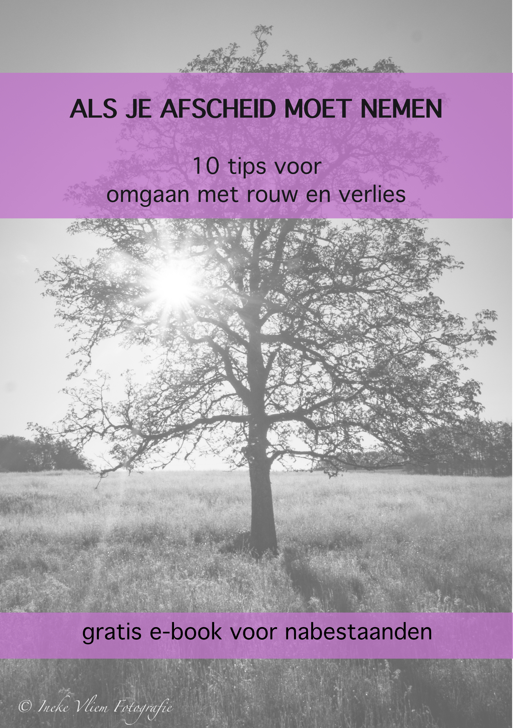vraag nu het gratis ebook aan