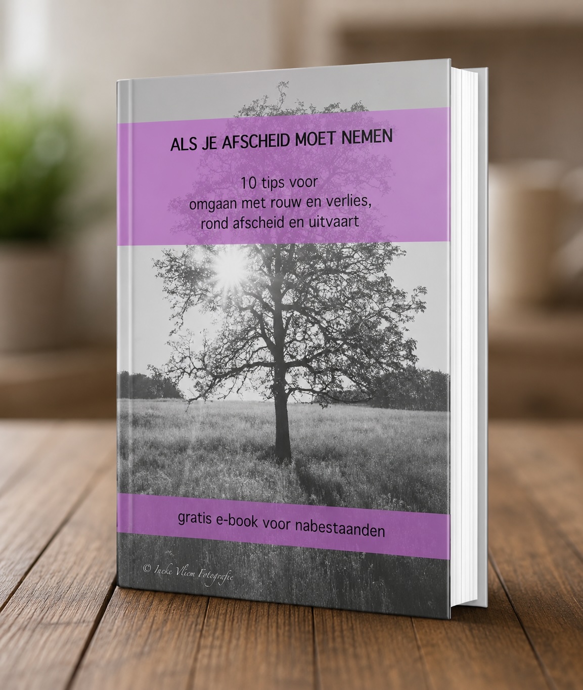Ebook Als je afscheid moet nemen ebook omgaan met rouw rond afscheid en uitvaart